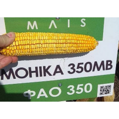 Насіння кукурудзи Моніка 350 МВ