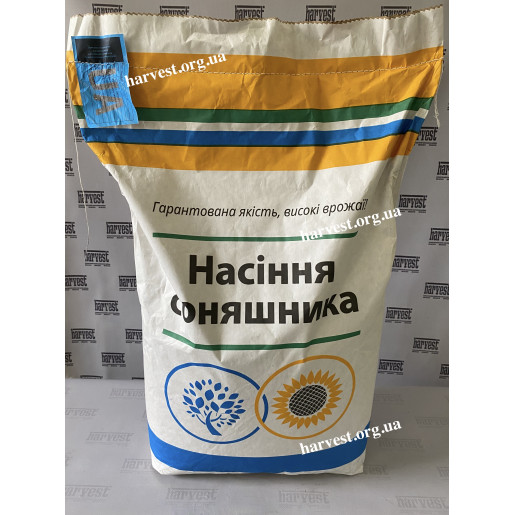 Насіння соняшнику Гусляр