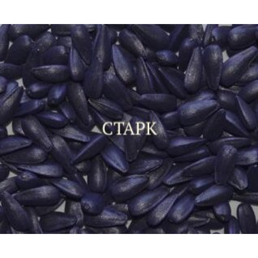 Соняшник Старк