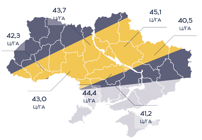 Урожайність соняшника Аркона